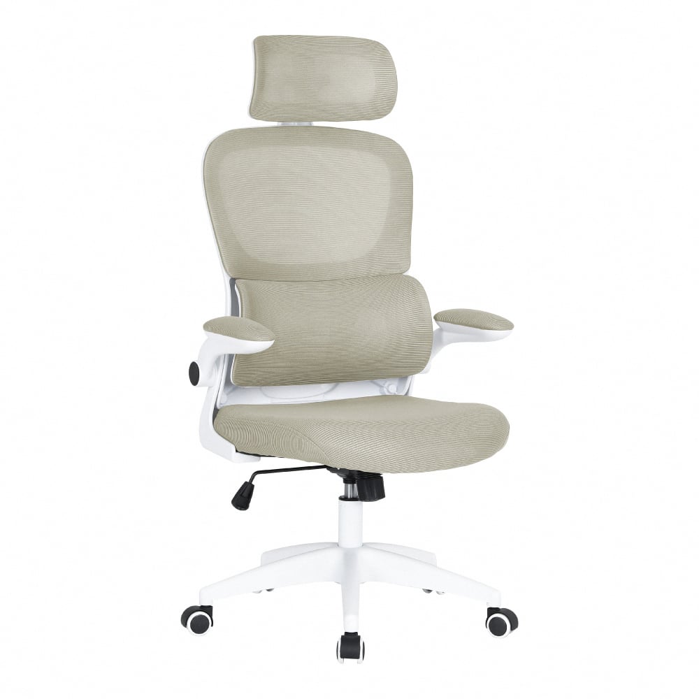 Arno 亞諾2.0多功能人體工學網布電腦椅-兩色可選