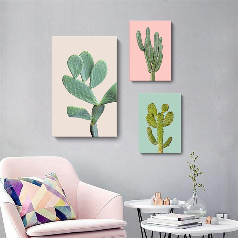 仙人掌清新繽紛色系 植物   三款