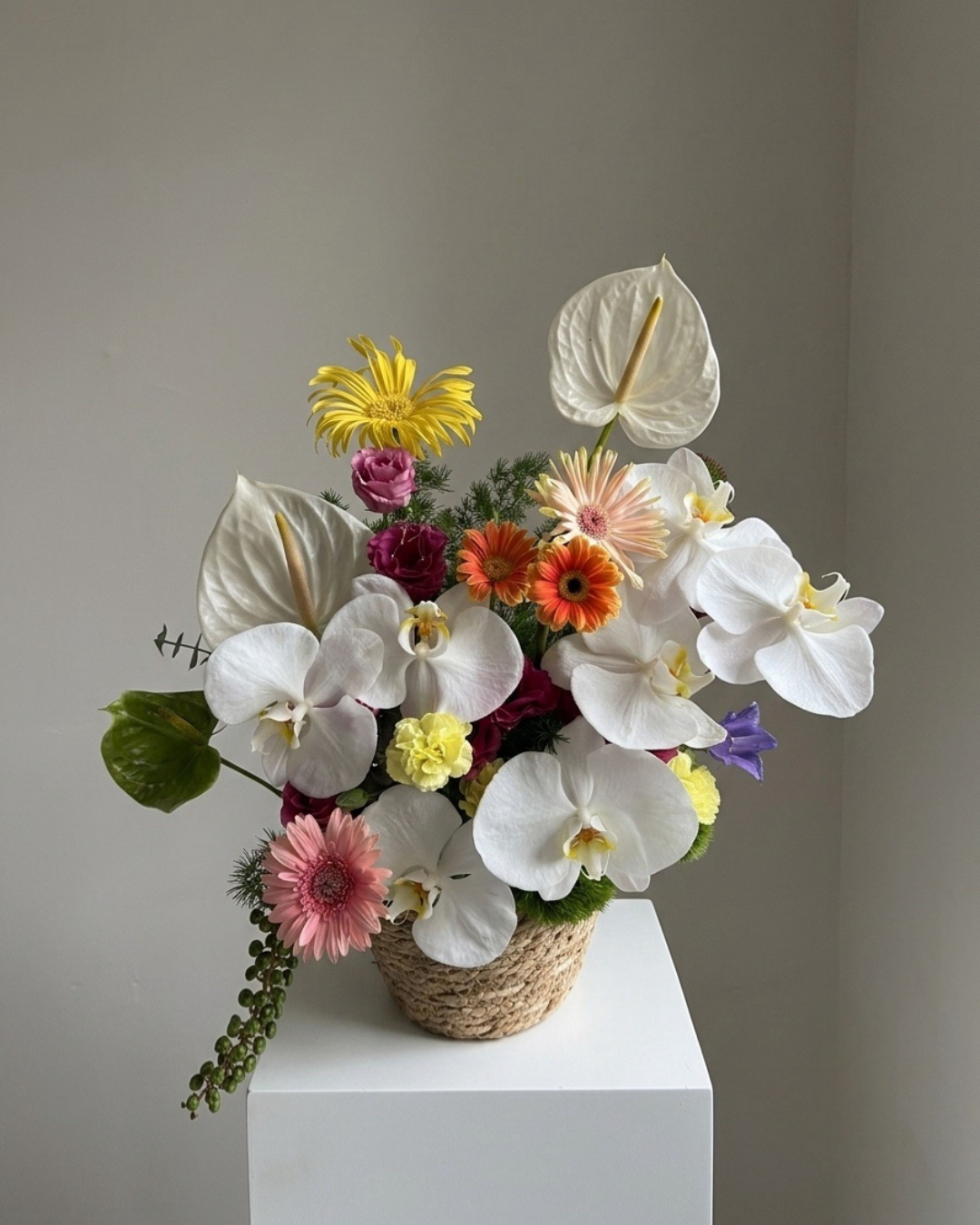 Summer Glow 盛夏初綻蝴蝶蘭藤籃花