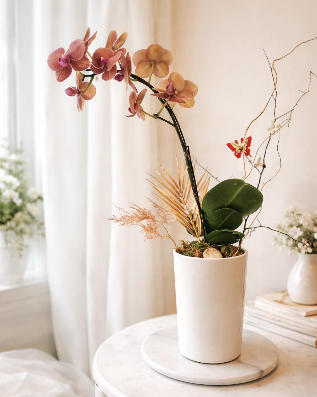 Orange Orchid 粉橘蝴蝶蘭盆栽