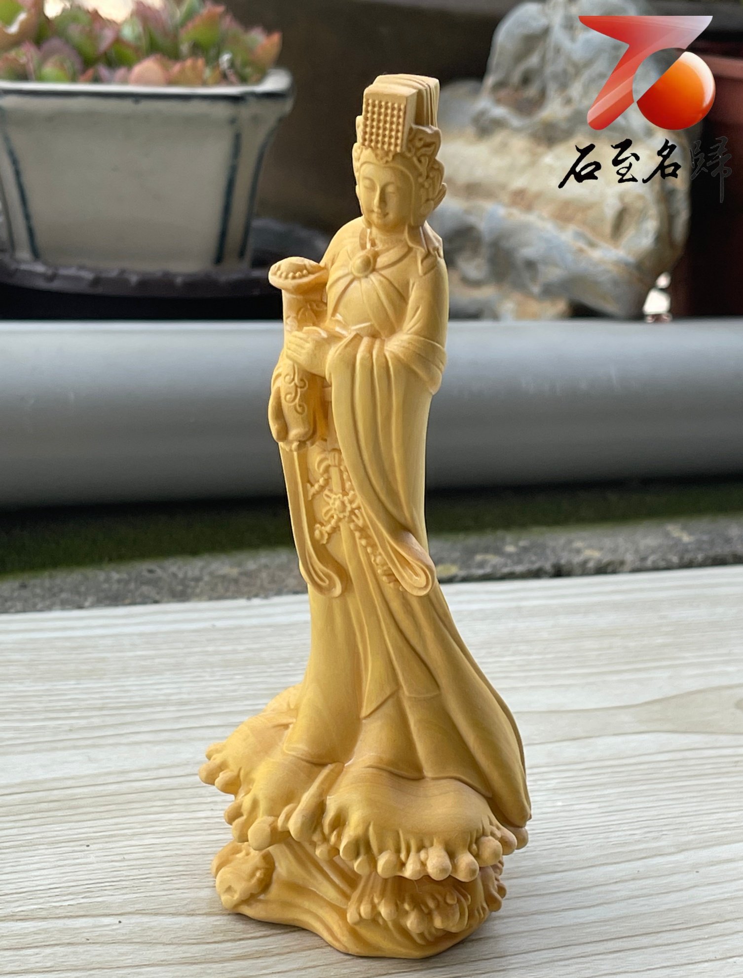 台灣現貨 實體店鋪 雲南大葉黃楊木【如意媽祖】