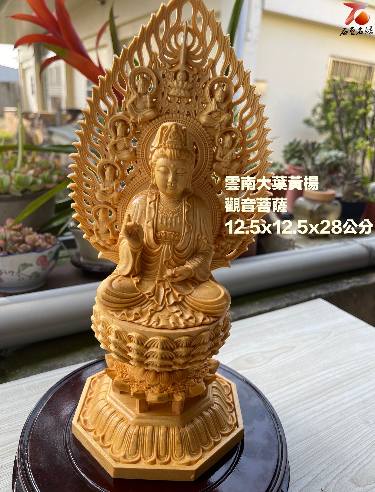 雲南大葉黃楊 高28公分觀音菩薩（屏風可拆式）