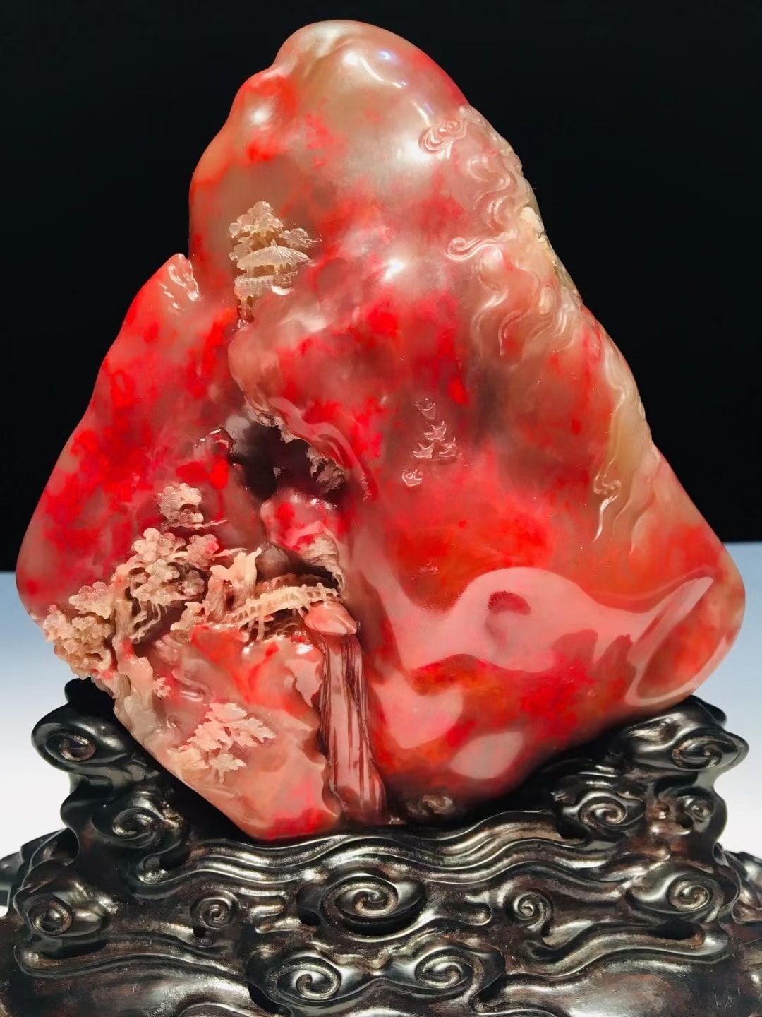 牛角凍雞血大紅袍【映山紅】