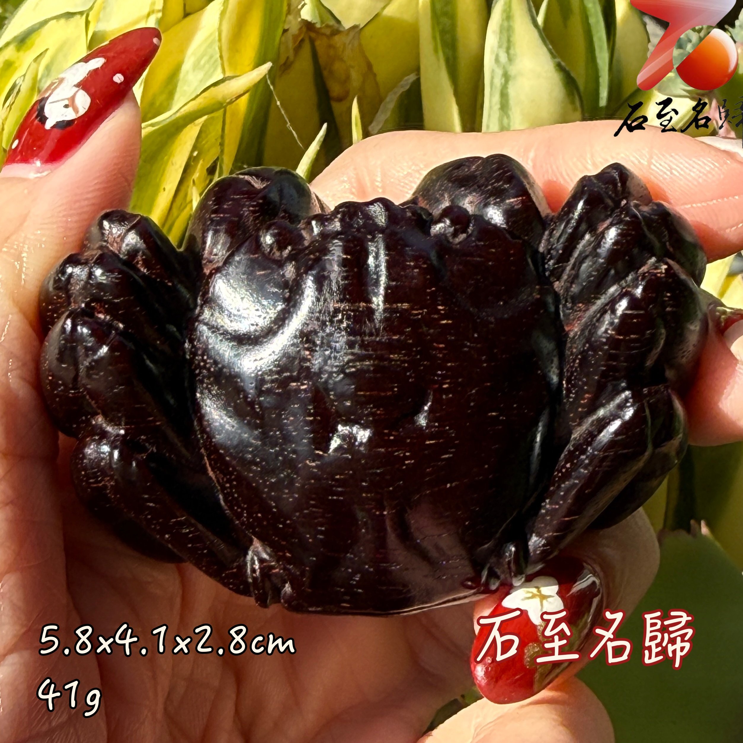 天然 印度小葉紫檀高油密爆滿金星樹心料 湘工手作【八方來財】