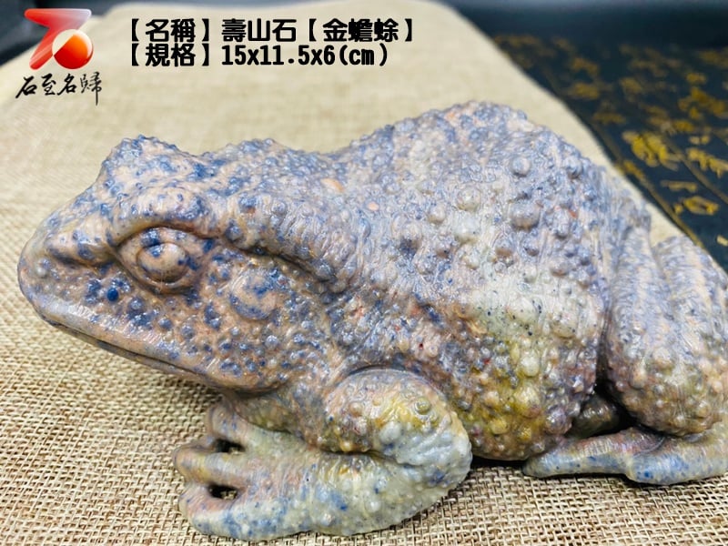 壽山石【金蟾蜍】