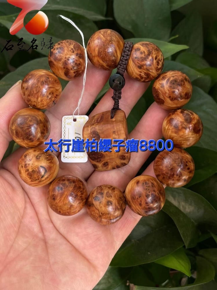 太行崖柏極品雲紋纓子瘤20mm手珠 10號