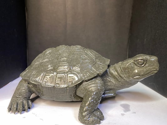 壽山豆耿石【長壽龜】