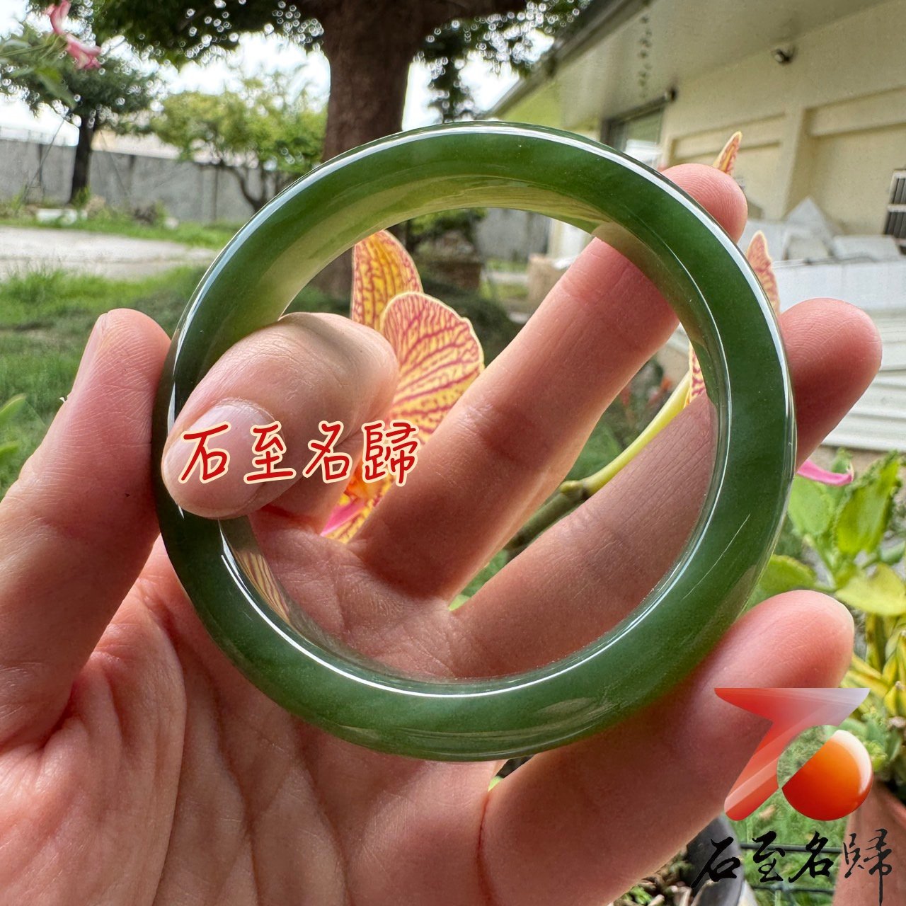 天然收藏級貓眼碧玉手鐲｜18圈口 附【亞瑟寶石鑑定所】正式鑑定證書