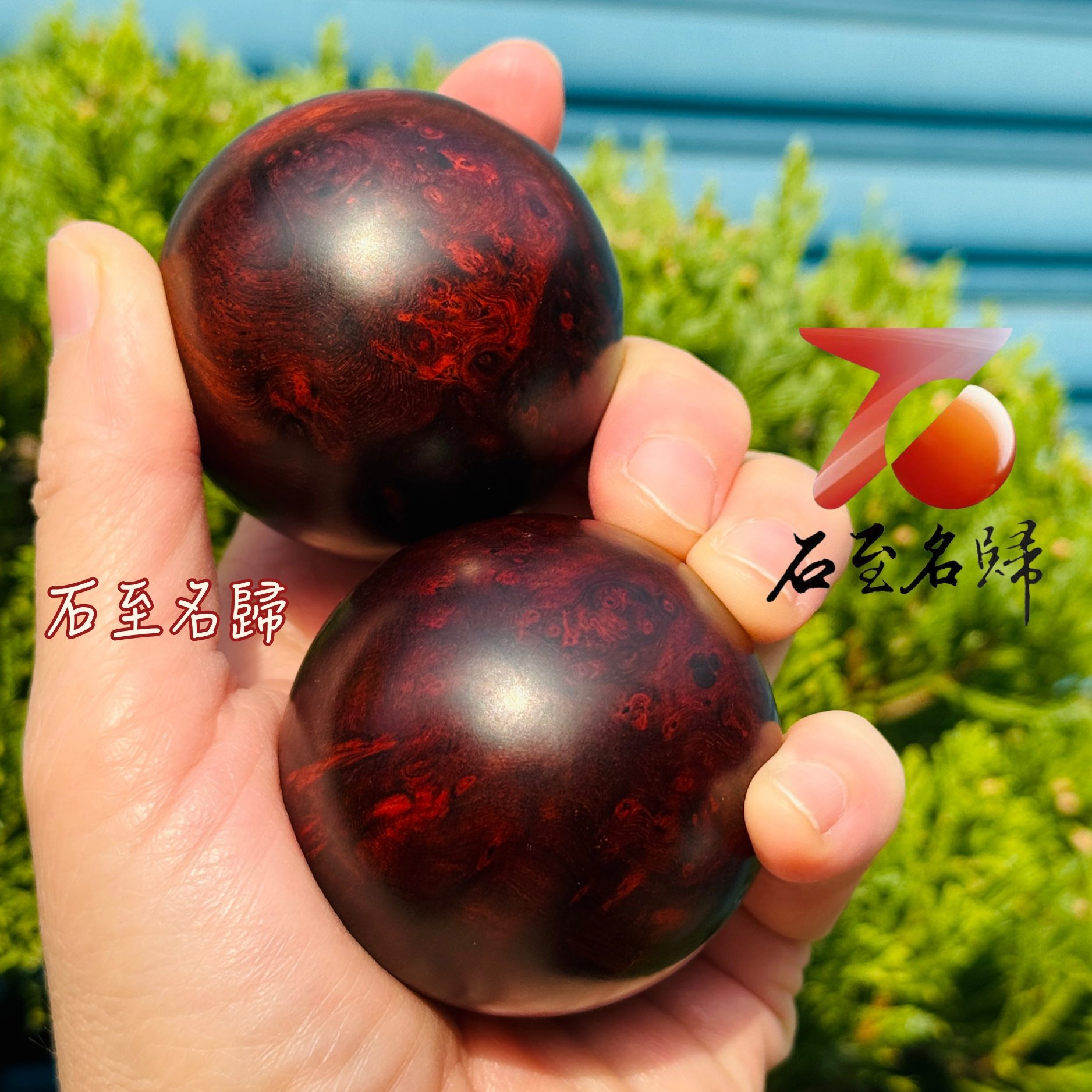 天然印度小葉紫檀｜帶瘤疤保健球收藏套組 單顆直徑 5 公分 溫潤耐看 日常把玩首選