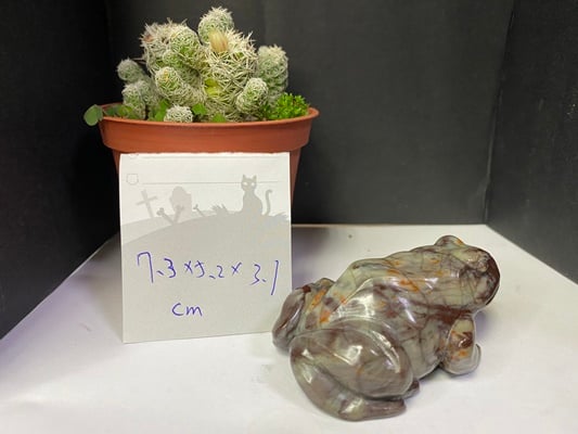 壽山石【萬世不竭-青蛙】