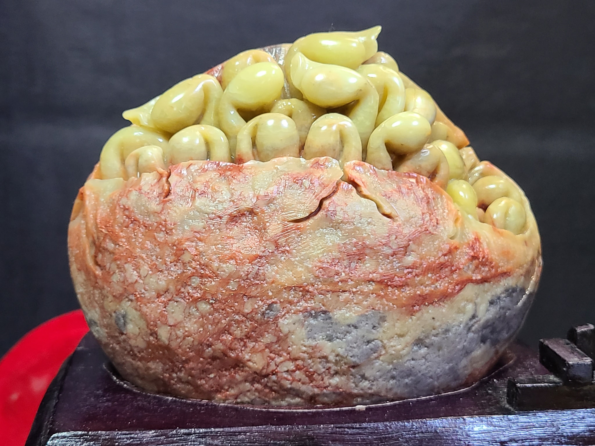 青田石【茁壯成長】