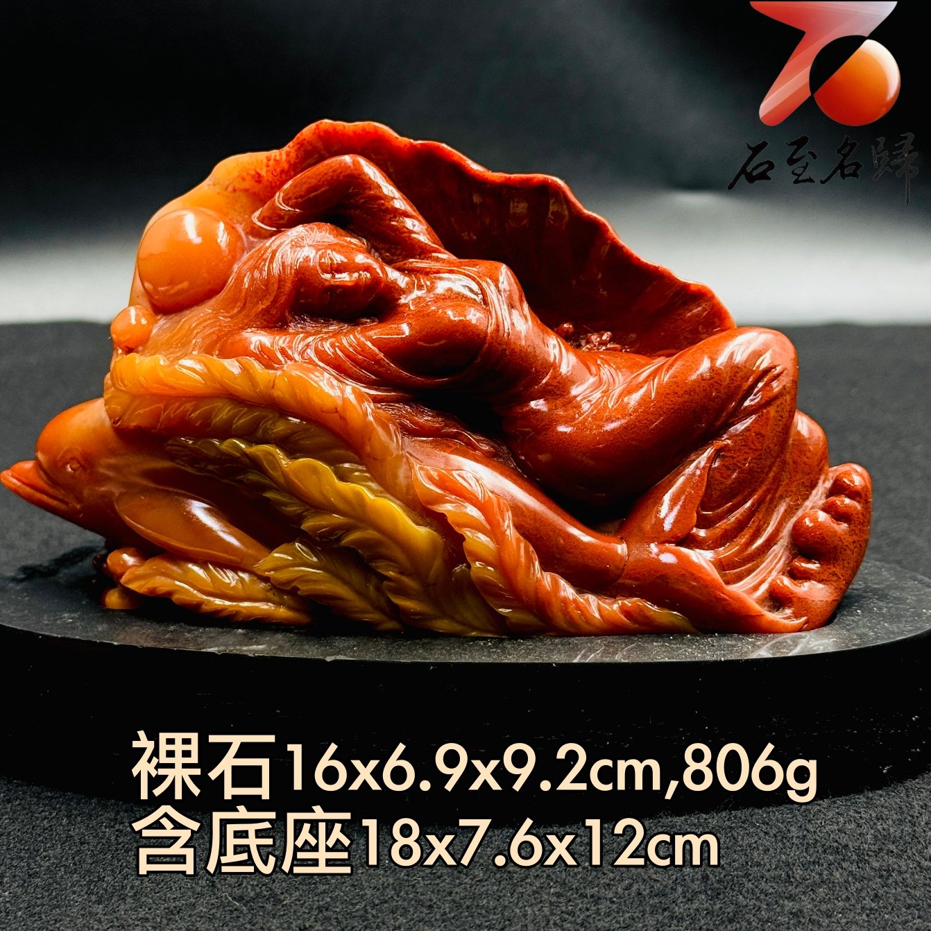 老撾滿朱砂純手工精雕收藏品【海韻童夢・豚伴芳華】