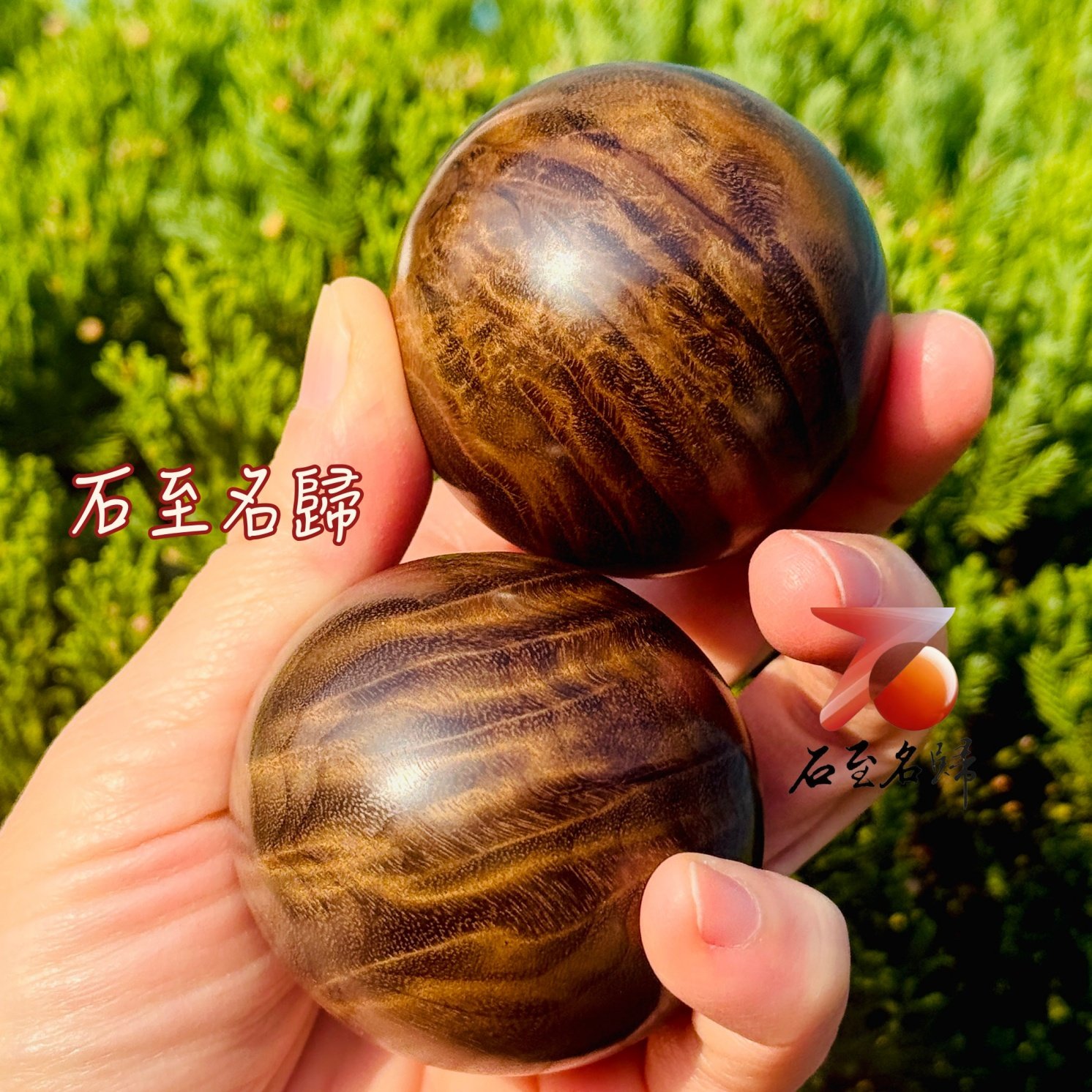 天然頂級金絲楠木烏木老料 滿水波×龍膽紋保健球收藏套組