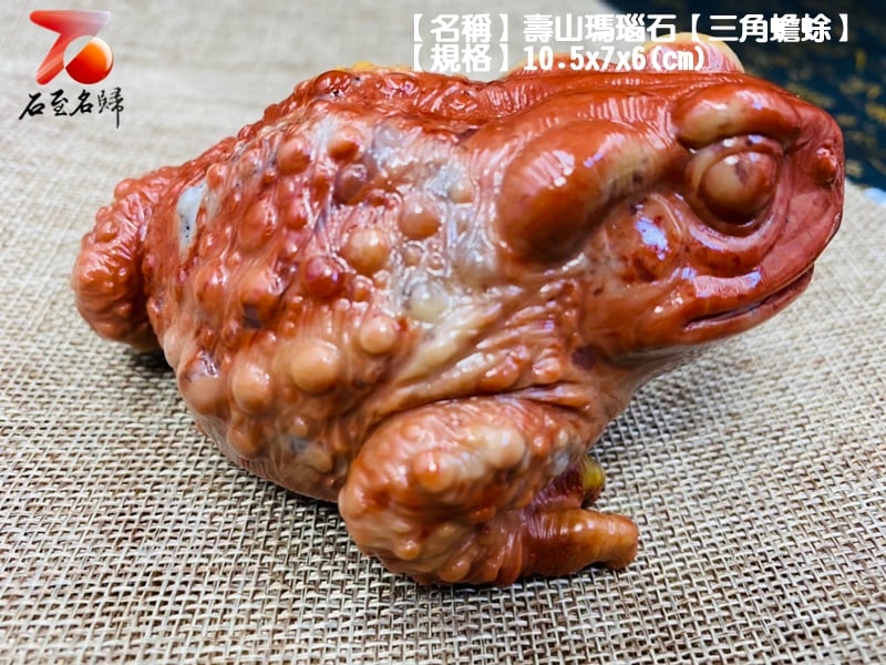 壽山瑪瑙石【紅紅火火-三角蟾蜍】