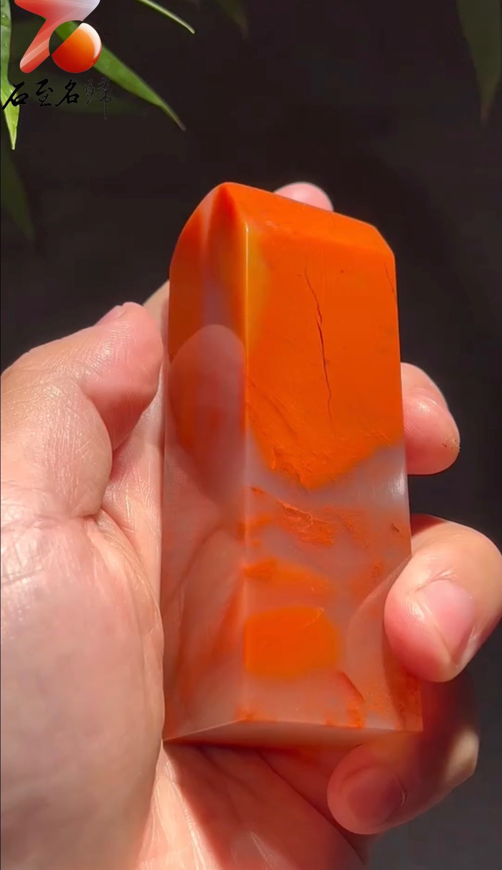 壽山水洞體精品素章