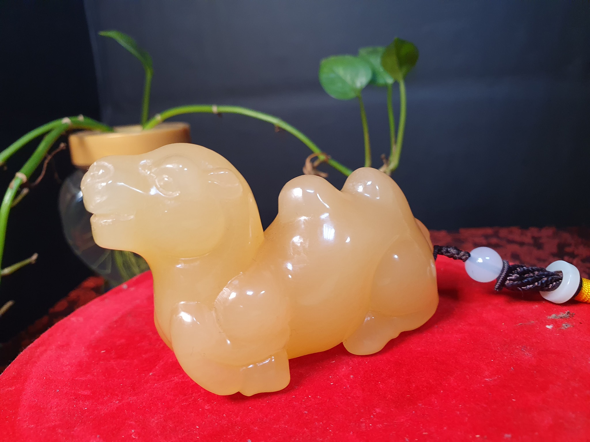 正宗印尼金水凍【沙漠之舟】手把件系列