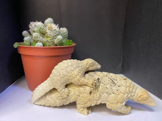 壽山花坑石【無堅不摧-穿山甲】