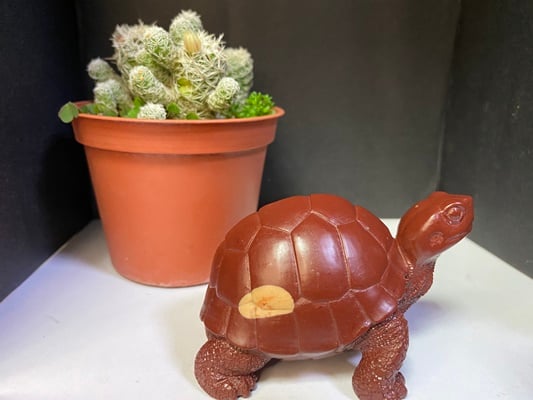 壽山峨嵋石【吉祥長壽紅龜】