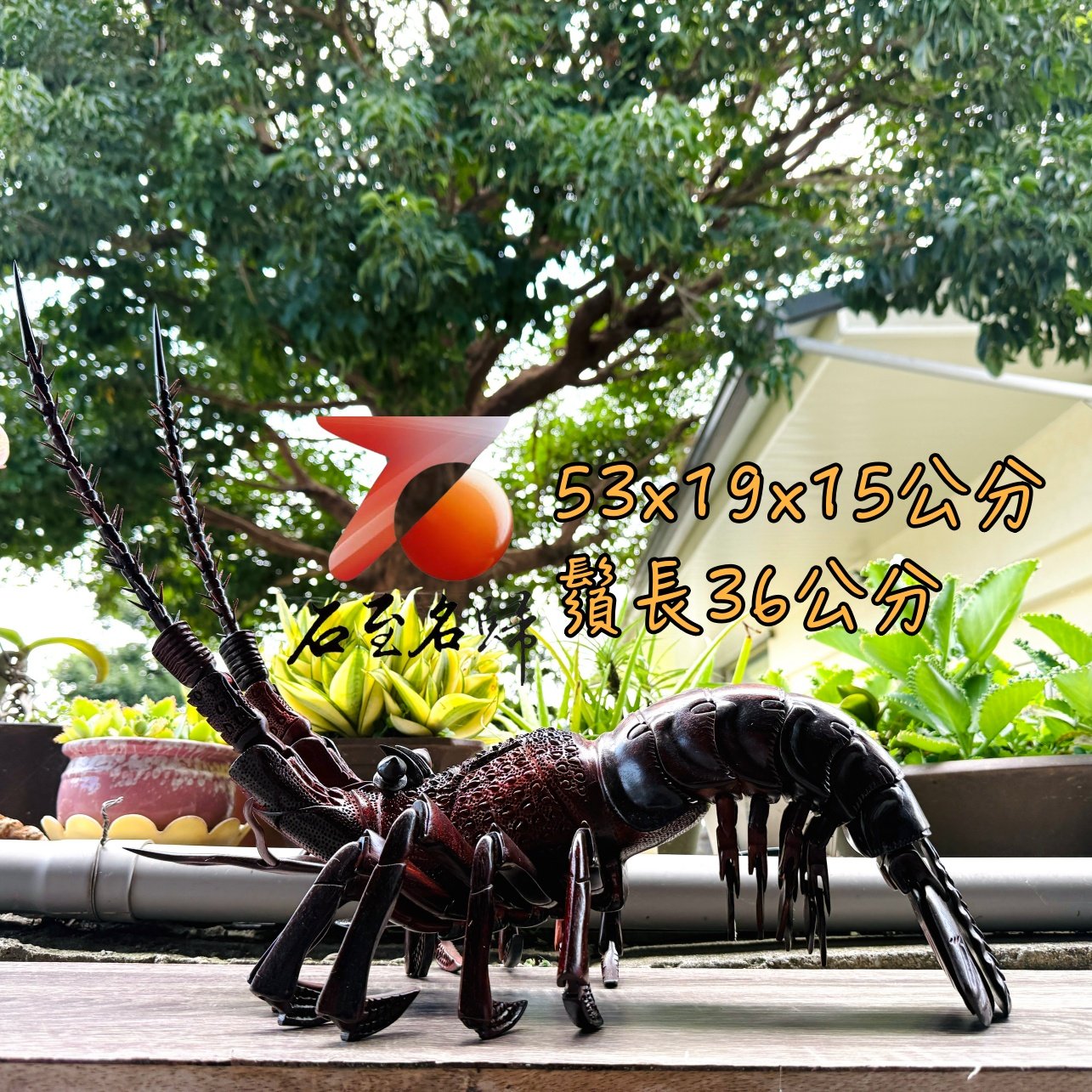 天然印度小葉紫檀精工大龍蝦｜霸氣登場．收藏級木雕擺件
