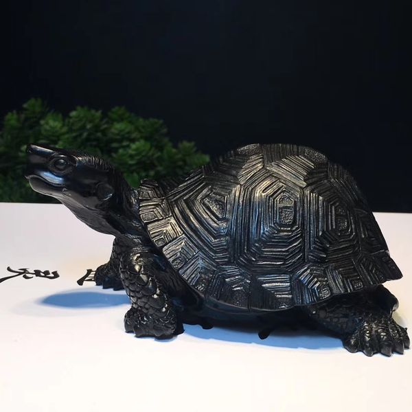 豆耿石【長壽龜】