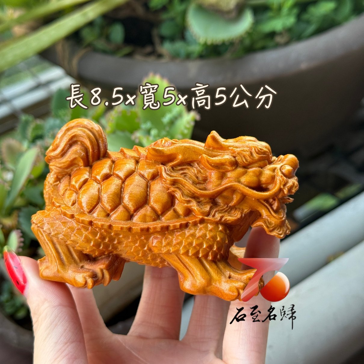 天然崖柏木【龍龜】招財鎮宅・守護祥獸