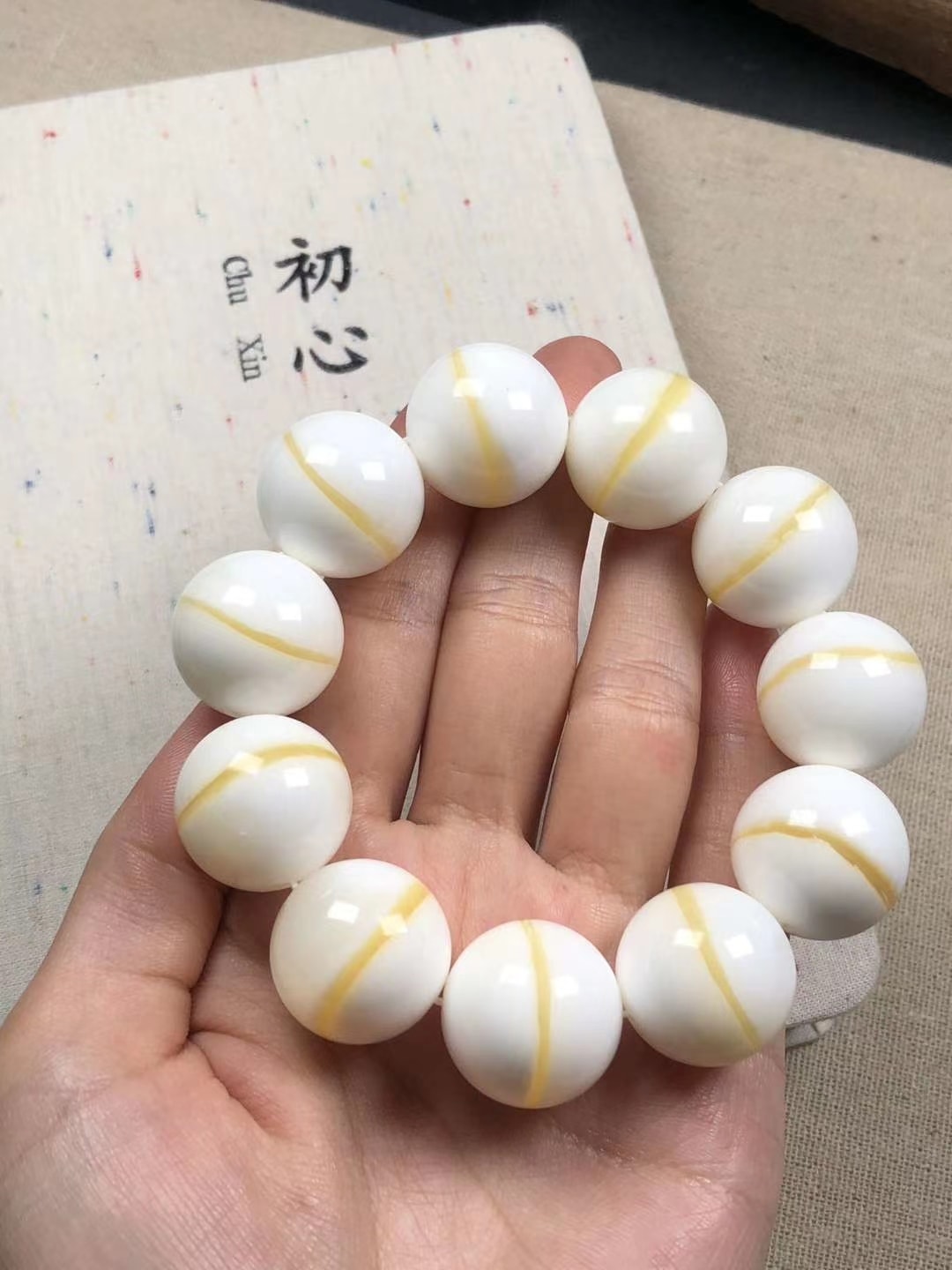 頂級金絲【硨磲手鍊】