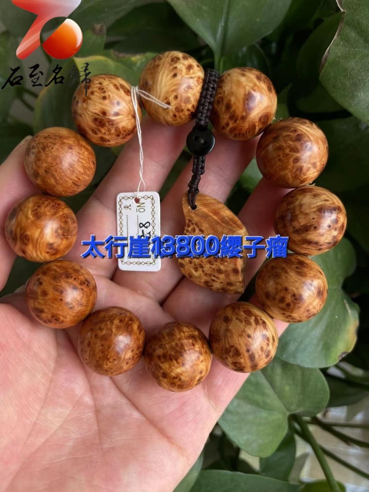 太行崖柏極品雲紋纓子瘤20mm手珠 8號