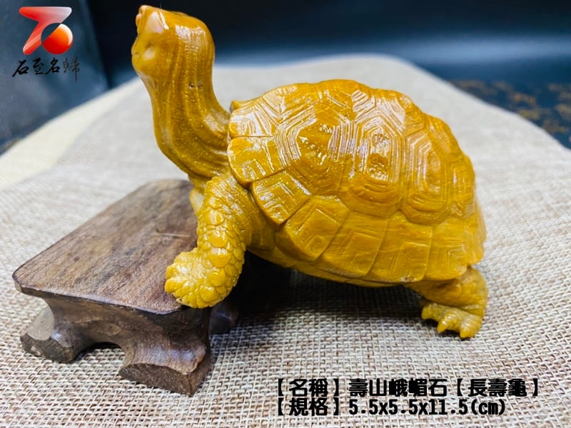 壽山峨嵋石【長壽龜】