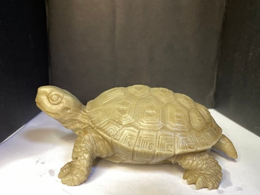 壽山峨嵋石【長壽龜】