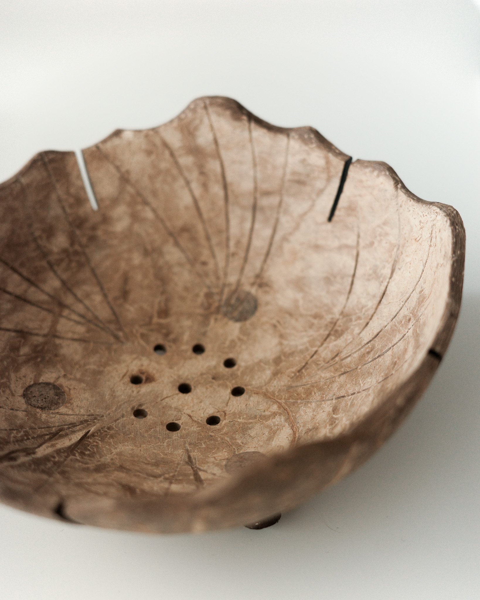 Coconut Shell Bowl