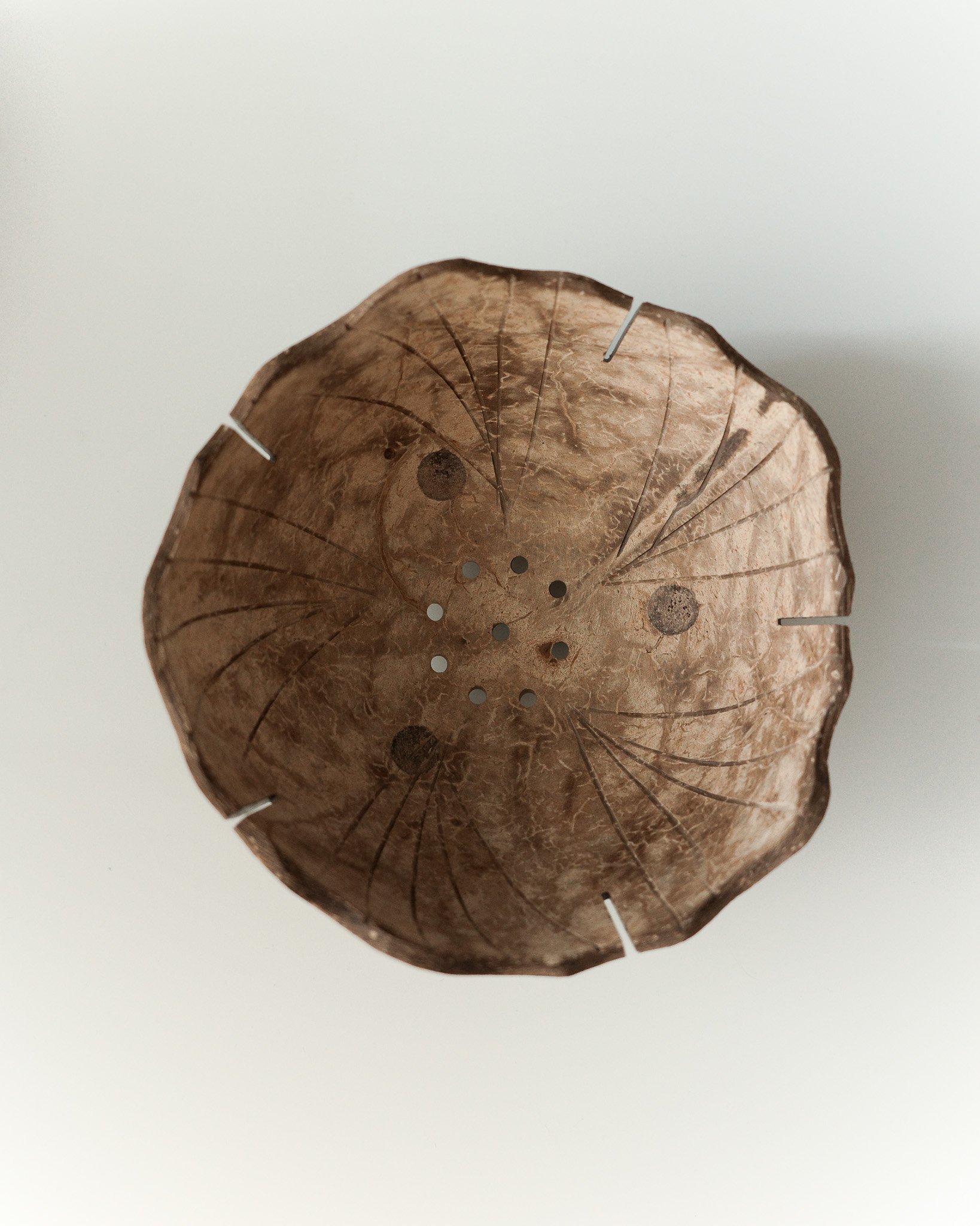 Coconut Shell Bowl