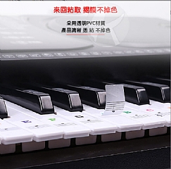 88/61/54/49鋼琴鍵盤貼透明貼紙簡譜音階貼紙