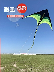 成人兒童風箏大草原露營微風易飛超美尾巴風箏(影片必看)線另售