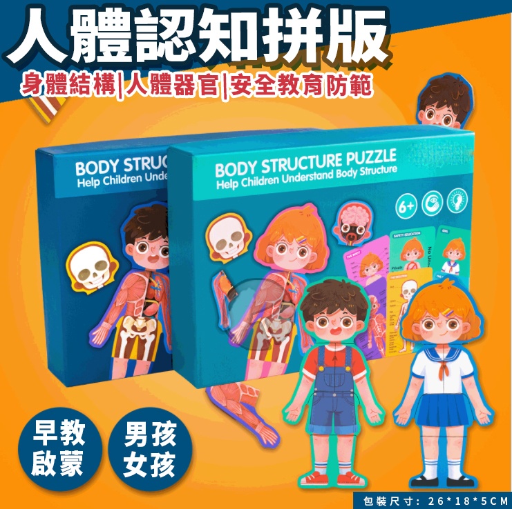 啟蒙教具益智早教 人體認知拼版 男孩 女孩 身體結構拼圖 安全教育