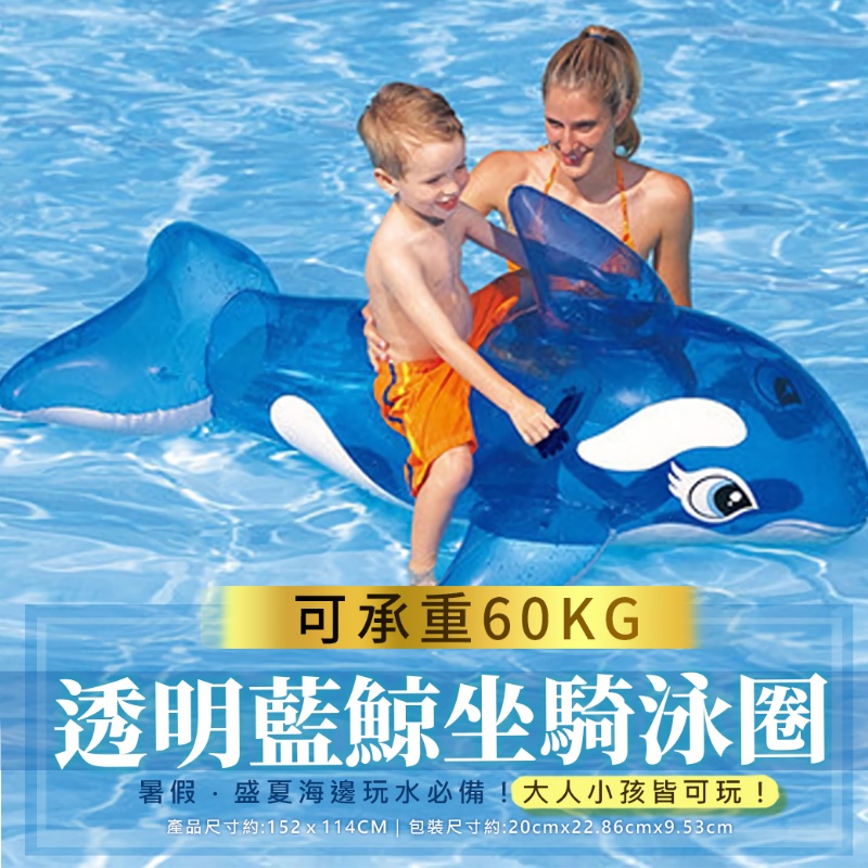 58523藍鯨 57524海龜 海龜坐騎 泳圈 充氣玩具 坐騎(影片必看)