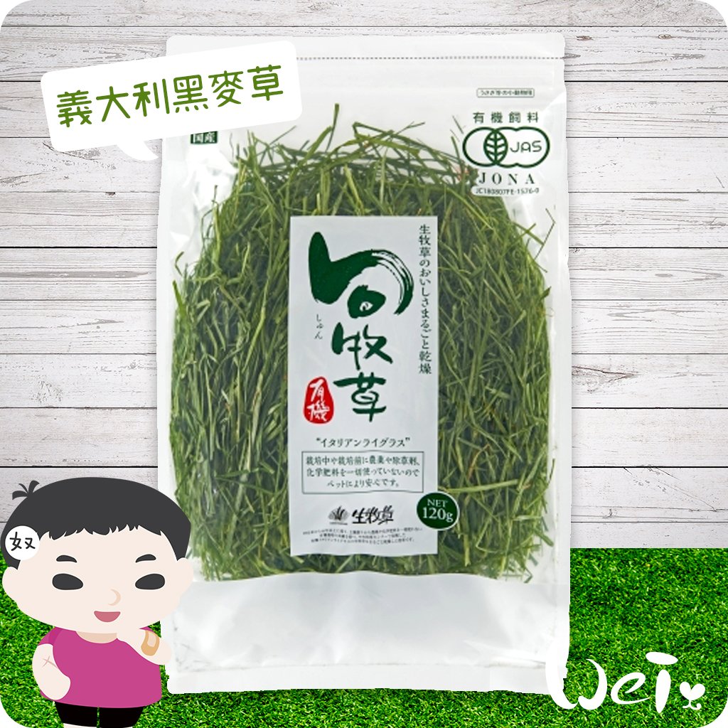 GEX旬牧草 義大利黑麥草