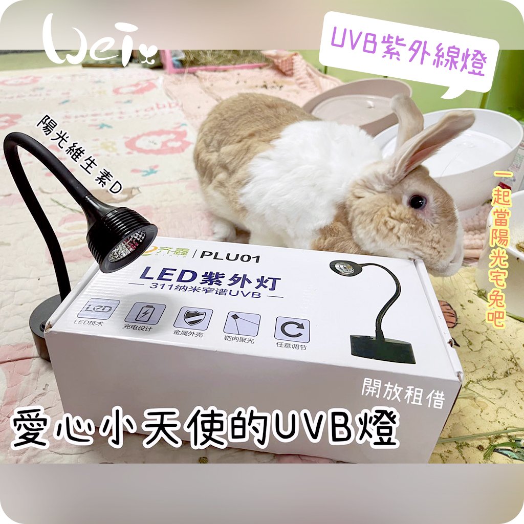 【新北板橋-租借】LED紫外線燈 311納米窄譜UVB燈 (陽光維生素D3) 老兔天竺鼠貓狗-說明