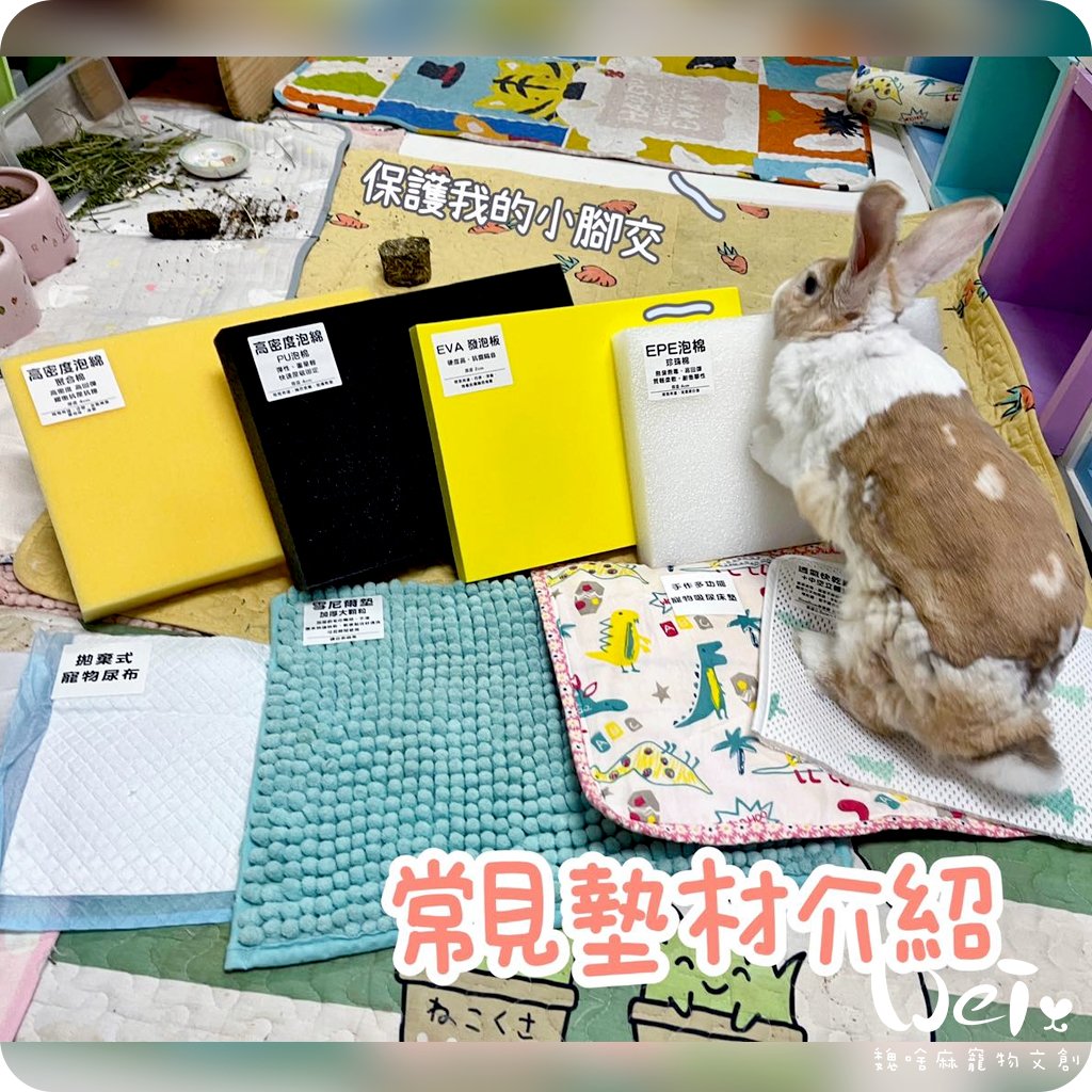 衛教區～常見的墊材介紹