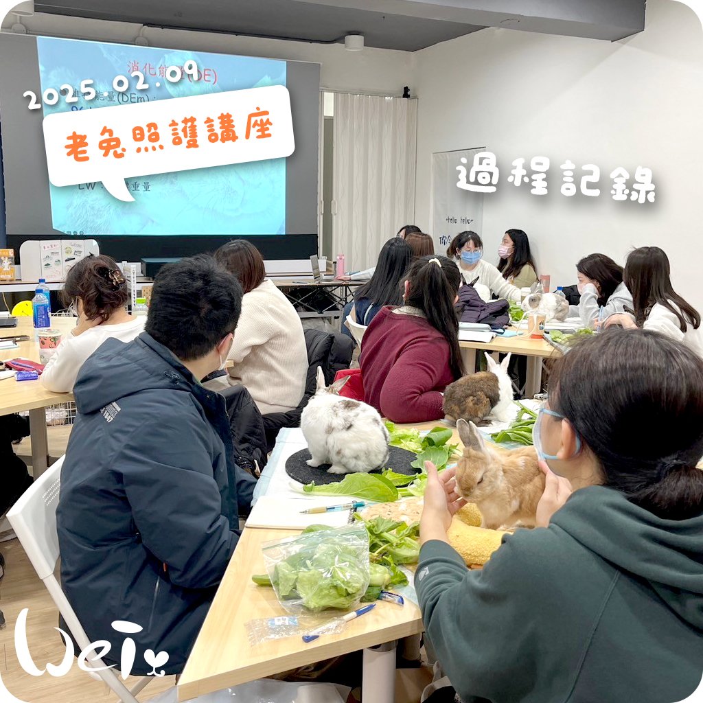 2025/02/09 超高齡老兔照護講座 講座紀錄