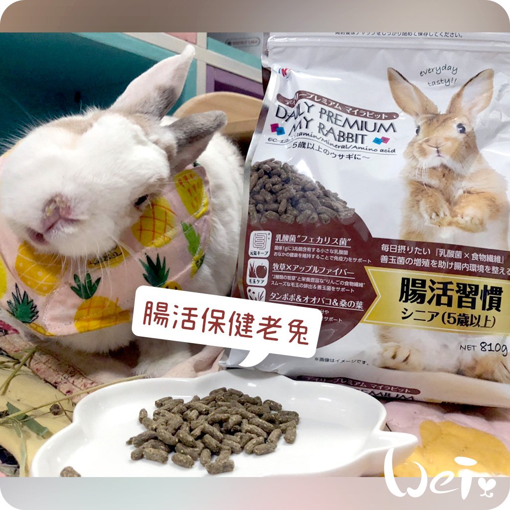 日本NPF恩貝護 腸活保健老兔(優益兔)