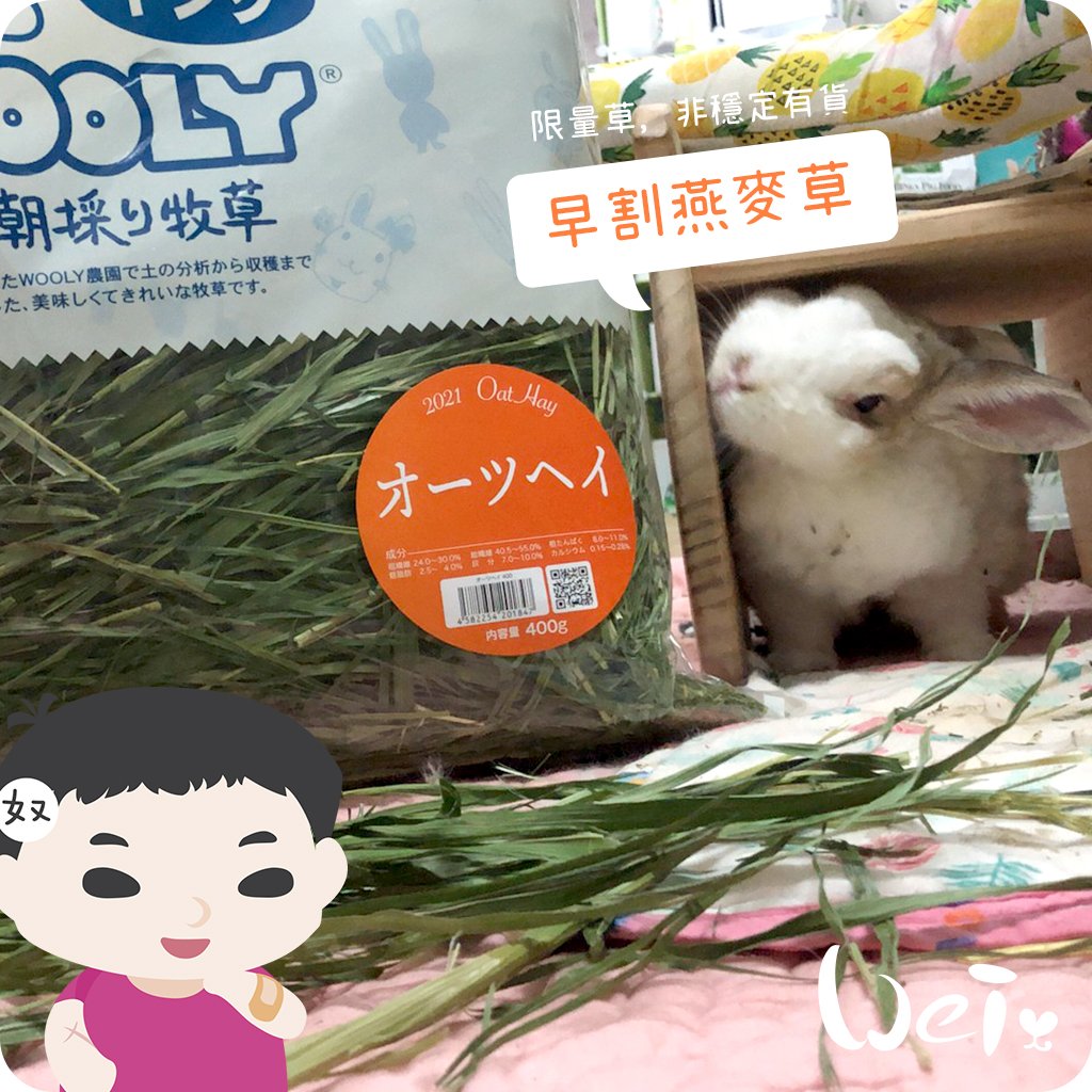 WOOLY高原早割燕麥草(本次貨櫃未到)