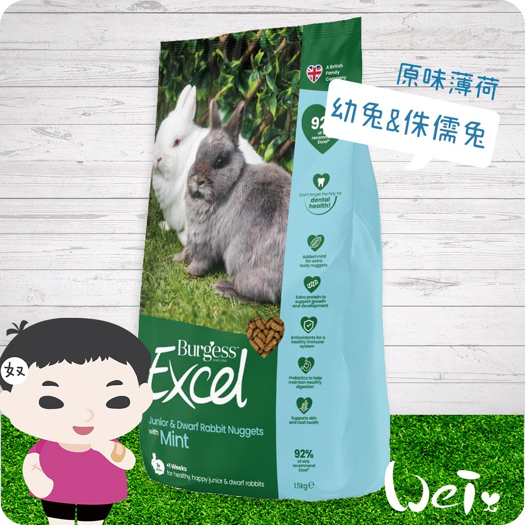 伯爵 Burgess Excel 幼兔 原味薄荷