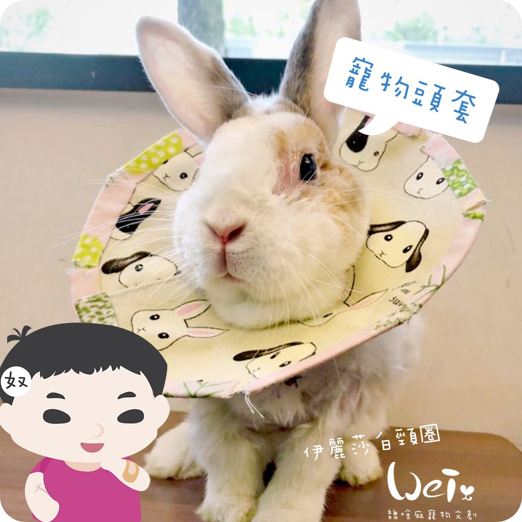 手作 - 寵物頭套/伊麗莎白頸圈/雷達 ( 結紮、術後、防舔咬、保護傷口用途)