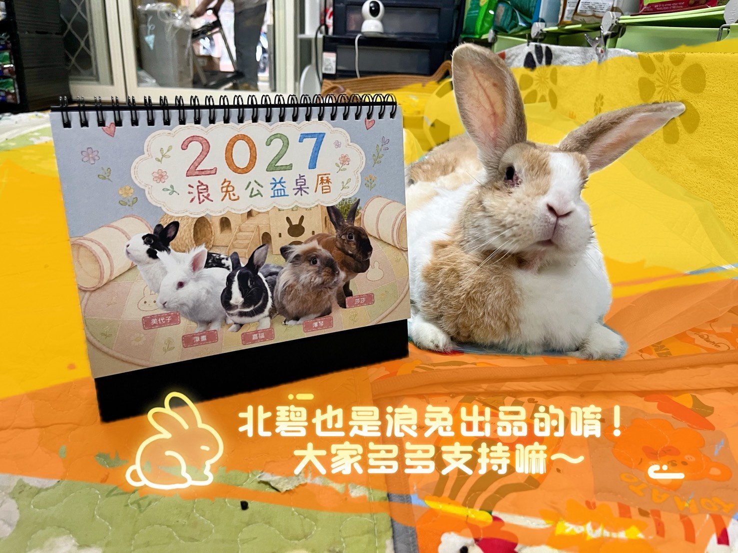 【健康養兔兔 x 2027 浪兔公益桌曆】+桌曆含限定版兔小浪造型icash (台灣流浪兔保護協會)