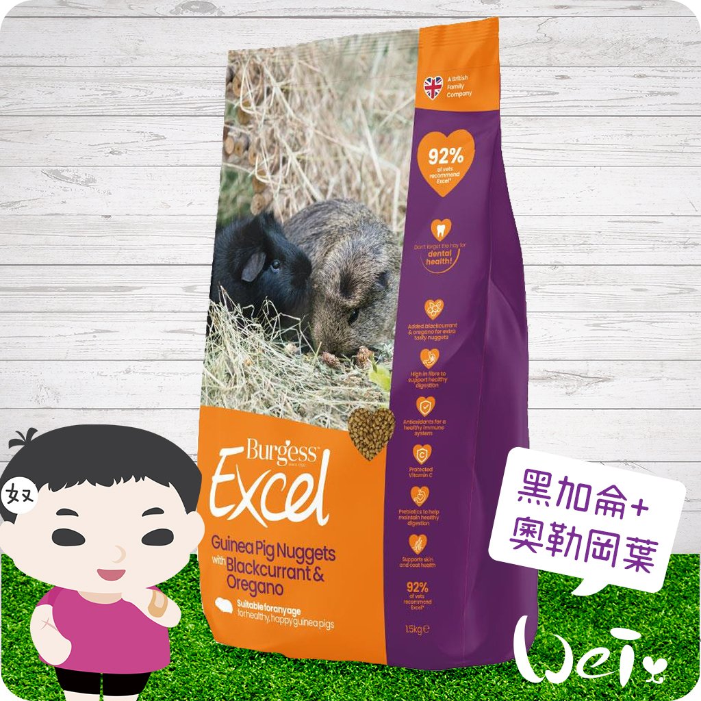 伯爵 Burgess Excel 天竺鼠 黑加侖+奧勒岡葉