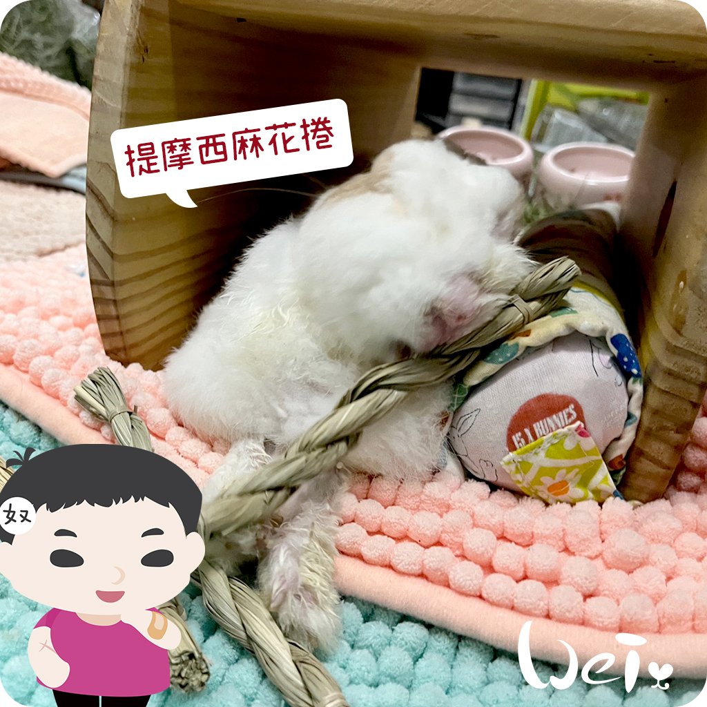 OXBOW提摩西麻花捲