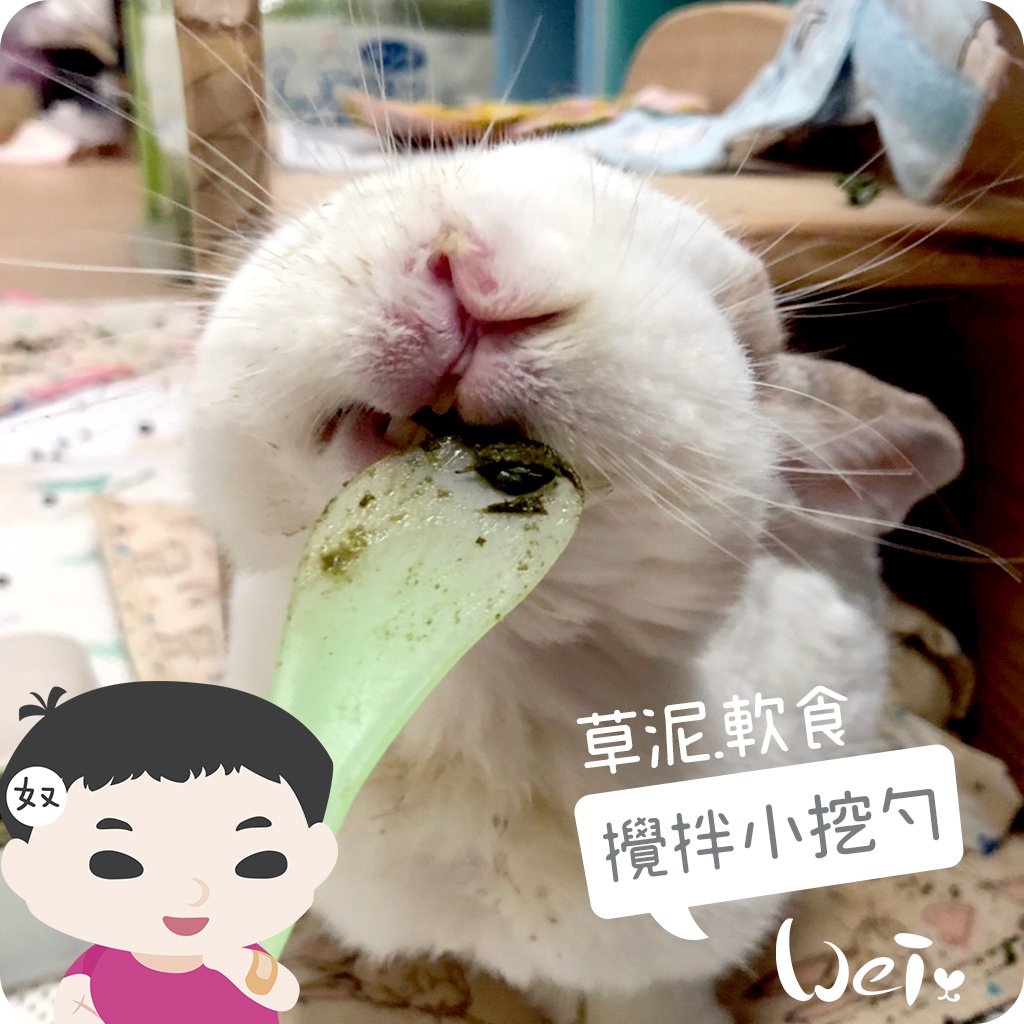 軟食/草泥攪拌小挖勺