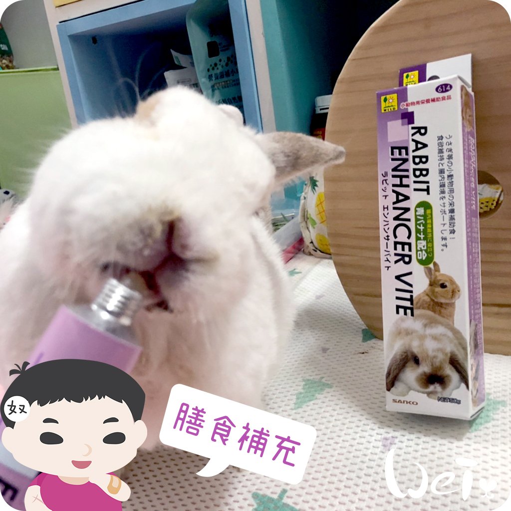 日本Sanko 草食動物糊狀膳食補充膏劑