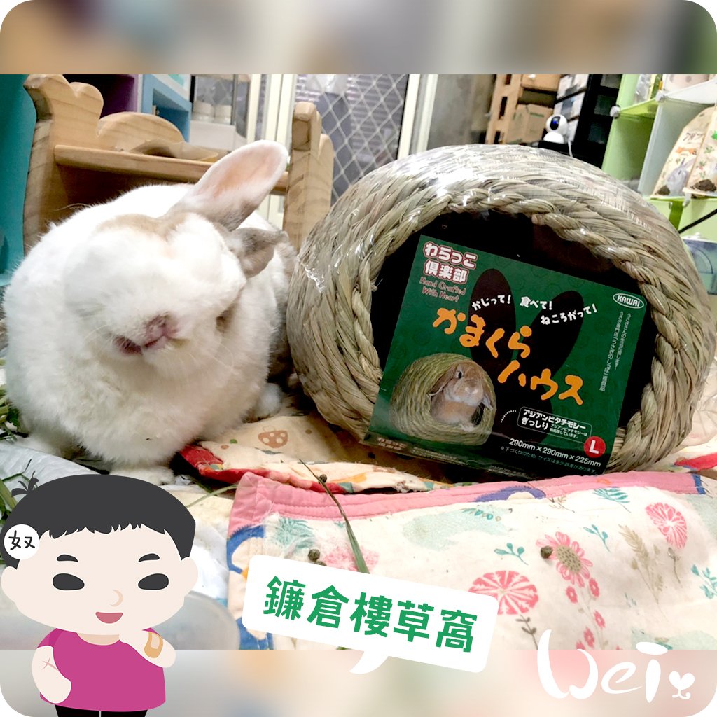 日本KAWAI 提摩西 兔子鎌倉樓 草編兔窩