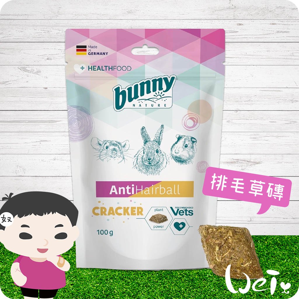 Bunny德國邦尼 排毛草磚
